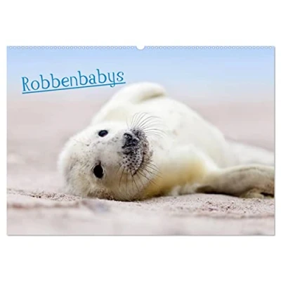 Abbildung von Robbenbabys (Wandkalender 2025 DIN A2 quer), CALVENDO Monatskalender