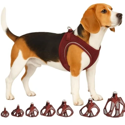Abbildung von Flamingo Step Go Bento Geschirr Aubergine, L (A:32 37 cm, B:42 46 3 mm), Komfortabel und Verstellbar, Ideal für Cocker Spaniel, Beagle, Shetland Sheepdog, Französische Bulldogge usw.