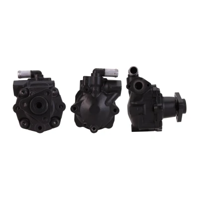 Abbildung von Hydraulikpumpe, Lenksystem DRI 715520601