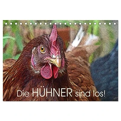 Abbildung von Die Hühner sind los! (Tischkalender 2025 DIN A5 quer), CALVENDO Monatskalender