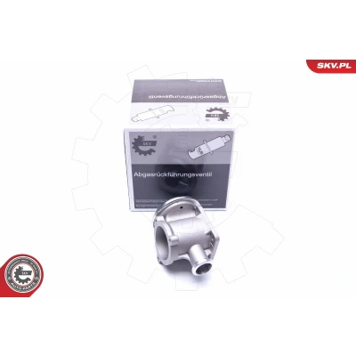 Abbildung von ESEN SKV 14SKV177 AGR Ventil pneumatisch BMW: 6 Coupe, 3 Touring, X3