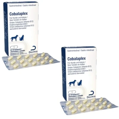 Abbildung von Dechra Cobalaplex Doppelpack 2 x 60 Kapseln Ergänzungsfuttermittel für Hunde und Katzen Zur Unterstützung der Verdauung des Vitamin B12 Spiegels Prebiotikum Preplex