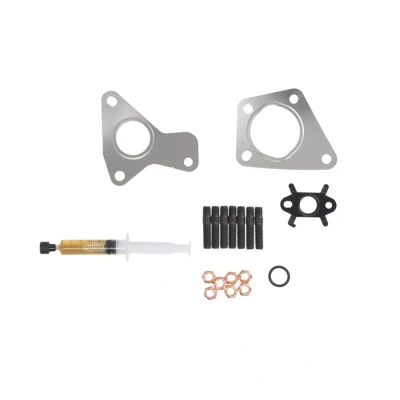 Abbildung von AJUSA JTC11738 Montagesatz, Lader with studs, syringe oil mit Dichtungen Montageanleitung RENAULT: SCENIC 2, MEGANE 2 Kombi,