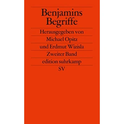 Abbildung von Benjamins Begriffe (edition suhrkamp)