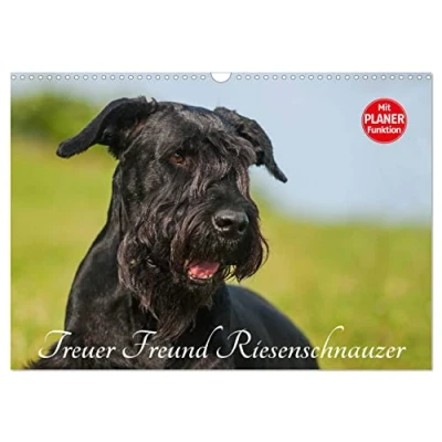 Abbildung von Treuer Freund Riesenschnauzer (Wandkalender 2025 DIN A3 quer), CALVENDO Monatskalender
