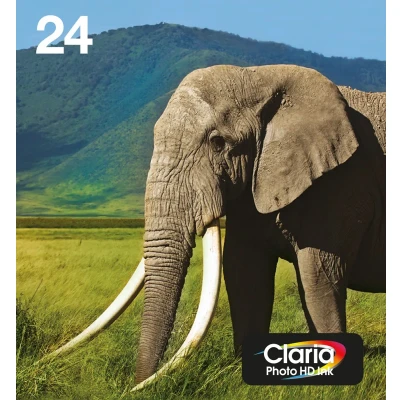 Abbildung von Epson 24 Patronen Multipack
