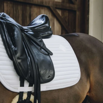 Abbildung von Kentucky Dressur Satteldecke Pearls Weiß Warmblut