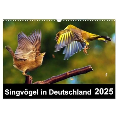 Abbildung von Singvögel in Deutschland (Wandkalender 2025 DIN A3 quer), CALVENDO Monatskalender