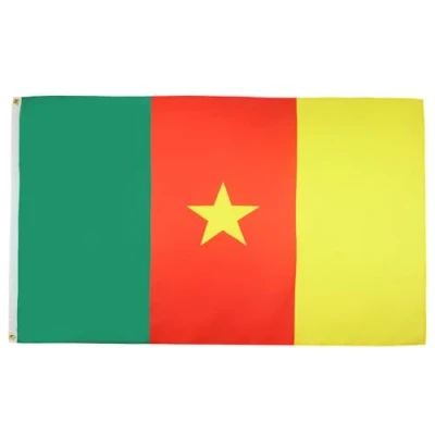 Abbildung von AZ FLAG Flagge Kamerun 150x90 cm Kamerunische Fahne 100% Polyester mit Messing Ösen 110g