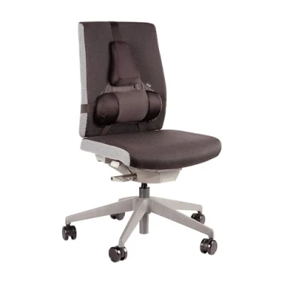 Abbildung von Fellowes Professional Series Profi Rückenstütze mit Memory Foam, schwarz