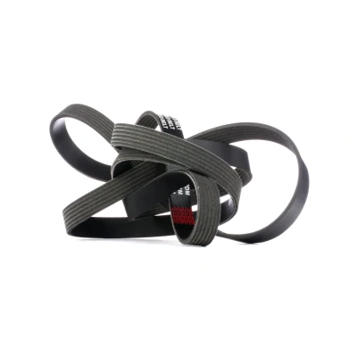Abbildung von RIDEX 305P0206 Keilrippenriemen 2490 6 AUDI: A6 C6 Avant, Limousine, Q7, VOLKSWAGEN: Touareg I, CHRYSLER: VOYAGER 2