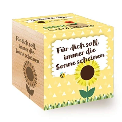 Abbildung von Celebrations Ecocube, Sonnenblume Bio Samen, Holzwürfel Mit Lasergravur «Für Dich Soll Immer Die Sonne Scheinen», Nachhaltige Geschenkidee, Anzuchtset, Made in Austria, Green