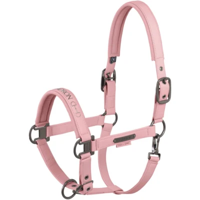 Abbildung von Eskadron Halfter Faux Leather Platinum &#039;25 Soft Rouge Warmblut Agradi.deVerkauft von Agradi
