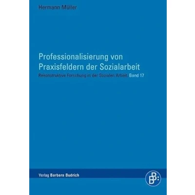 Abbildung von Professionalisierung von Praxisfeldern der Sozialarbeit (Rekonstruktive Forschung in Sozialen Arbeit)