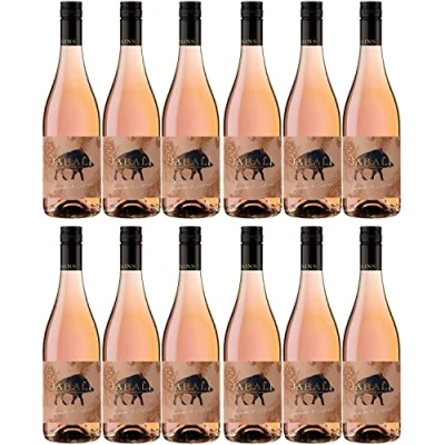 Abbildung von Bodegas Paniza Jabali Garnacha Cabernet Rosado Roséwein Wein halbtrocken Spanien I Visando Paket (12 x 0.75)
