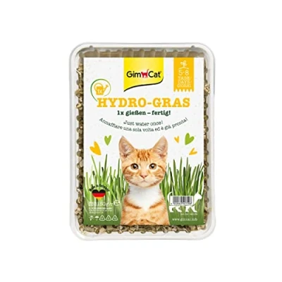 Abbildung von GimCat Hydro Gras Frisches Katzengras aus kontrolliertem Feldanbau in nur 5 bis 8 Tagen 1 Schale (1 x 150 g)