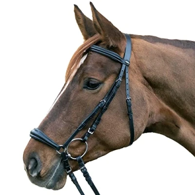 Abbildung von Star Trense Hannover Schwarz Pony