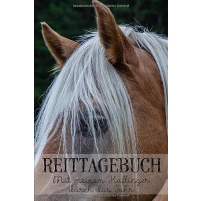 Abbildung von Reittagebuch: das Reit und Trainingsbuch zum Eintragen * Für über 200 Reiteinheiten Mit meinem Haflinger durch Jahr Jahreskalender A5 Geschenkidee