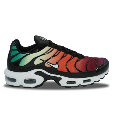Abbildung von Nike Air Max Plus TN Rainbow