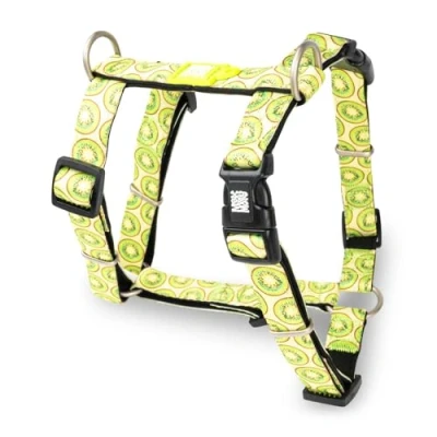 Abbildung von Max &amp; Molly H Geschirr Kiwi, S