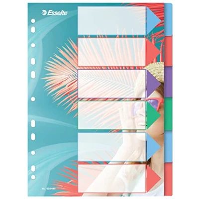 Abbildung von 20 x Esselte Register Colour&#039;Breeze A4 PP blanko 5 teilig transparent