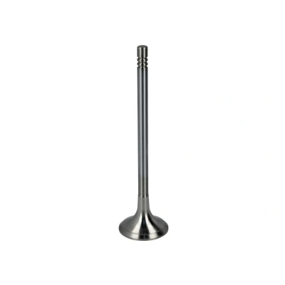 Abbildung von FRECCIA R6621/RCR Auslaßventil 24,6 Ventilschaft verchromt BMW: X3, 3 Touring, X1 kfzteile, kfzteile24, bandel online, bandel, atp autoteile, mister