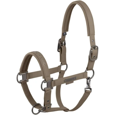 Abbildung von Eskadron SS25 Platinum Halfter Kunstleder DoppelpinVerkauft von HypoStore