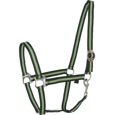 Abbildung von Covalliero Halfter Hippo Nylon Antazit/Zitrone Shetland