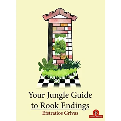 Abbildung von Your Jungle Guide to Rook Endings