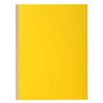 Abbildung von Exacompta 416009E 10 Pack Aktendeckel für DIN A4 24 x 32 cm lose Blattablage zitronengelb