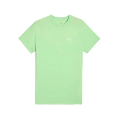 Abbildung von PUMA Unisex EVOSTRIPE Tee T Shirts, Spring Fern,