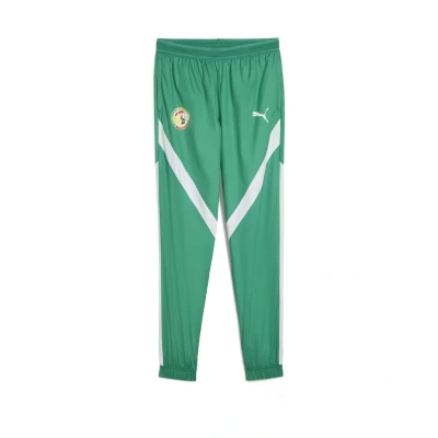 Abbildung von Puma Senegal 2025 Vereinsmannschaften Sport green white, Herren, Größe: 3XL, white