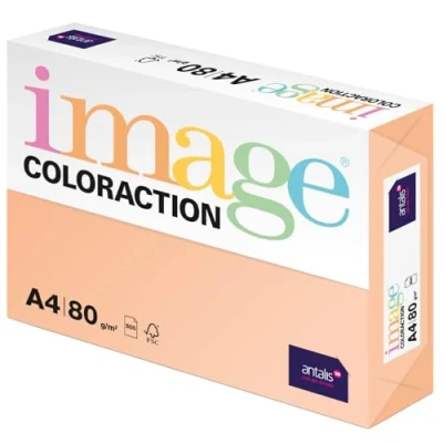 Abbildung von Image Coloraction Savana farbiges Kopierpapier DIN A4, 210 x 297 mm, 80 g/m² buntes, holzfreies Druckerpapier für Kopierer 500 Blatt Salm
