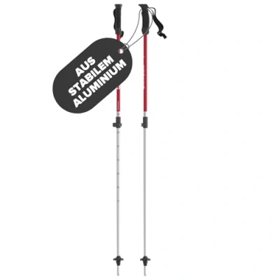Abbildung von ATOMIC AMT JR TELESCOPIC Red/Silver NS Red / Silver