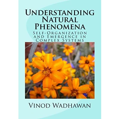 Abbildung von Understanding Natural Phenomena: Self Organization and Emergence in Complex Systems