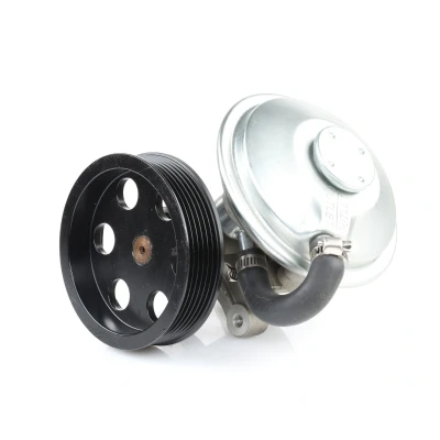 Abbildung von RIDEX 387V0020 Unterdruckpumpe ohne Dichtung FIAT: Ducato II Pritsche/Fahrgestell, I Kastenwagen, Bus