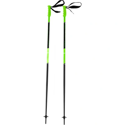 Abbildung von Komperdell Alpine Champion Green 22/23 Skistöcke