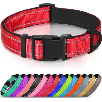 Abbildung von Joytale Halsband Hund, Gepolstertes Hundehalsband Breit aus Neopren Nylon Verstellbar für Welpen, Weich und Reflektierend Hundehalsbänder, XS, Rot