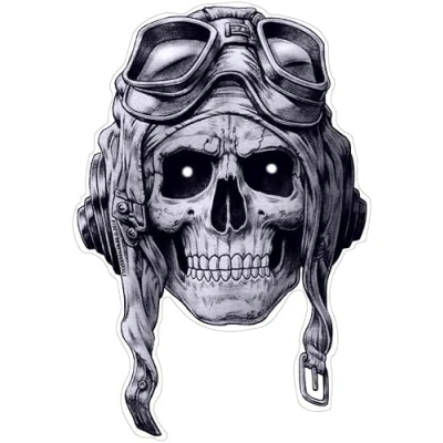 Abbildung von chemstickattack Aviator Skull Aufkleber Sticker Schädel Totenkopf Pilot Flugzeug ca. 14x10 cm
