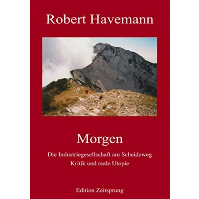 Abbildung von Morgen: Die Industriegesellschaft am Scheideweg. Kritik und reale Utopie