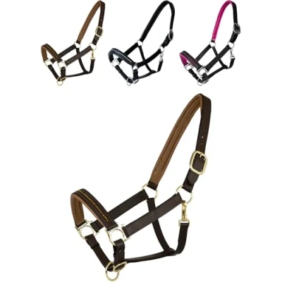 Abbildung von Halfter DIAMOND Leder braun/gold