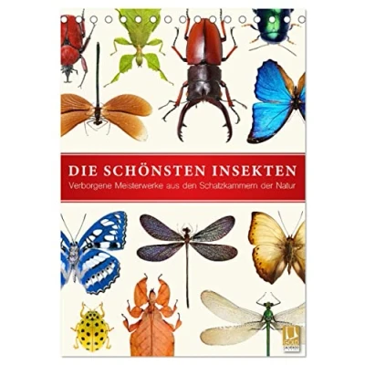 Abbildung von Die schönsten Insekten (Tischkalender 2025 DIN A5 hoch), CALVENDO Monatskalender