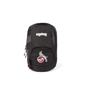 Abbildung von ergobag Small Kinderrucksack DomstürmBär Rot
