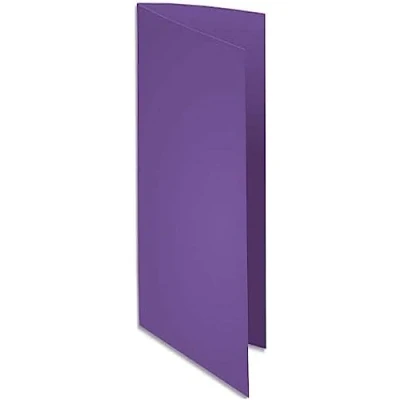 Abbildung von CLAIREFONTAINE 800008E Box 100 Unterordner, lila