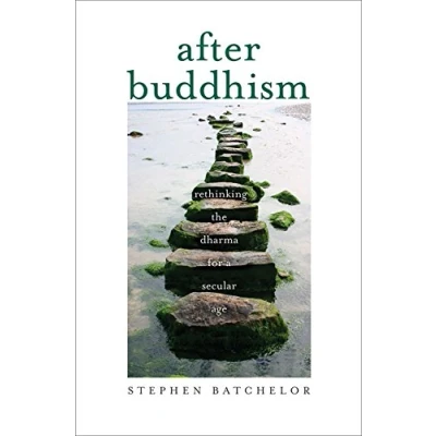 Abbildung von After Buddhism: Rethinking the Dharma for a Secular Age