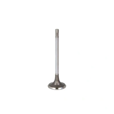 Abbildung von FRECCIA R6713/SCR Einlaßventil 30,1 Ventilschaft verchromt, Ventilschaftende gehärtet FORD: Tourneo Connect / Grand V408 Kombi