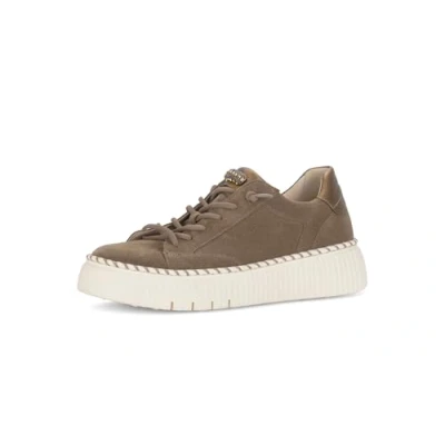 Abbildung von Gabor Damen Low Top Sneaker, Frauen Halbschuhe,Best Fitting,Sportschuhe,Freizeitschuhe,Turnschuhe,Laufschuhe,Farro/Bronce,38 EU / 5 UK
