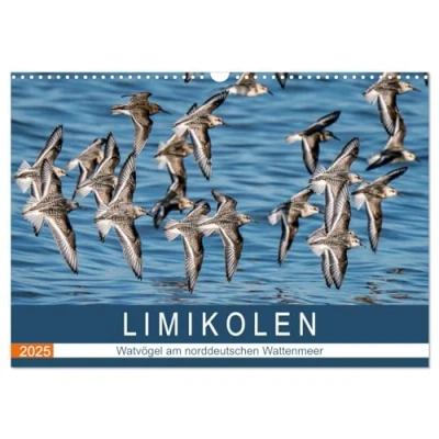 Abbildung von Limikolen Watvögel am norddeutschen Wattenmeer (Wandkalender 2025 DIN A3 quer), CALVENDO Monatskalender