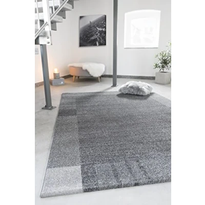 Abbildung von andiamo Webteppich moderner stilvoller Kurzflor Teppich robust und pflegeleicht aus 100% Polypropylen geeignet für Fußbodenheizung Saugroboter 160 x 230 cm Bordüre Grau