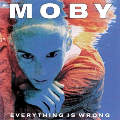 Abbildung von Everything Is Wrong [Vinyl LP]